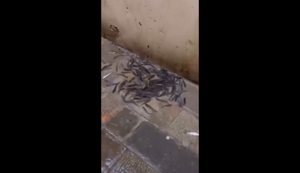 A generic square placeholder image with rounded corners in a figure.