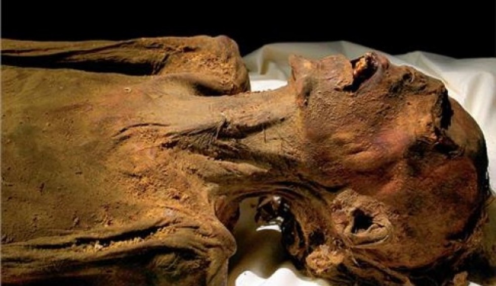 A generic square placeholder image with rounded corners in a figure.