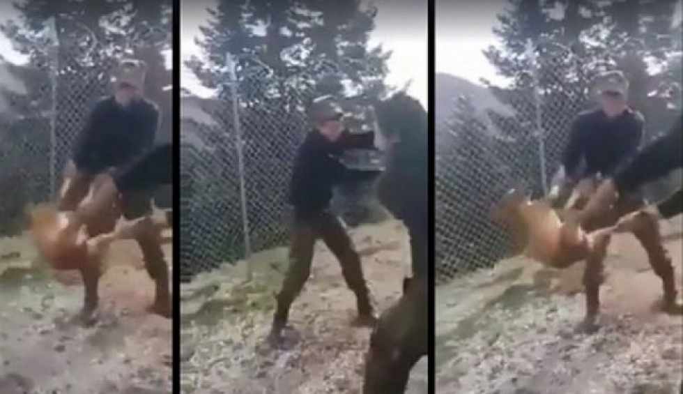 A generic square placeholder image with rounded corners in a figure.