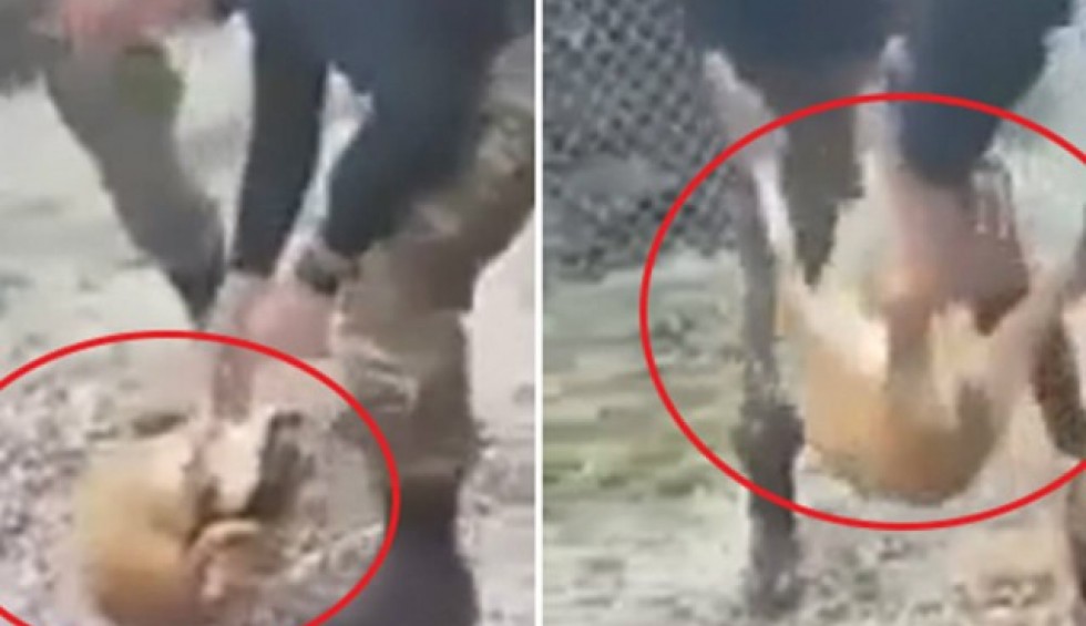 A generic square placeholder image with rounded corners in a figure.