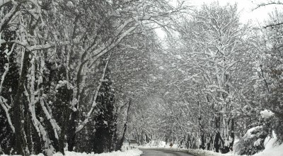 Σέρρες: Σφοδρή χιονόπτωση «εγκλώβισε» οδηγούς στον Λαϊλιά-Στο σημείο εκχιονιστικά και Πυροσβεστική