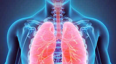 Με ποιες τροφές καθαρίζουν οι πνεύμονες
