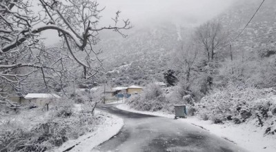 Θάσος: Στα λευκά όλο το νησί από την σφοδρή χιονόπτωση!