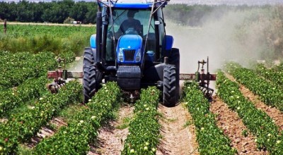 Νέοι αγρότες: Πώς θα... ξεκλειδώσουν επιδότηση έως 40.000 ευρώ