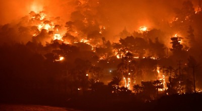 Κορινθία: Οι αποζημιώσεις που θα λάβουν οι πυρόπληκτοι