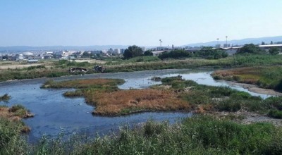 Θεσσαλονίκη: Μια χαβούζα-εστία μόλυνσης, μεταξύ βυρσοδεψείων και Δενδροποτάμου