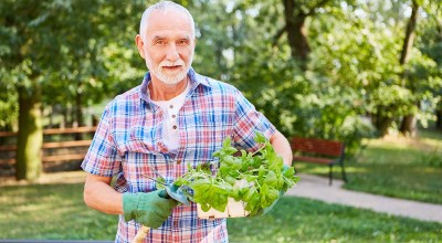 Ποια βιταμίνη μπορεί να προστατεύσει τον εγκέφαλο από τη νόσο Αλτσχάιμερ