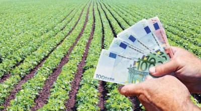 ΟΠΕΚΕΠΕ: Πότε πληρώνονται αγρότες-κτηνοτρόφοι ενιαία, εξισωτική και βιολογικά