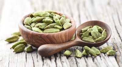 Το φαρμακευτικό φυτό που ενισχύει τη μνήμη