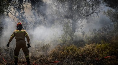 Καβάλα: Συναγερμός για φωτιά σε δάσος στο Χρυσόκαστρο – Κοντά σε σπίτια οι φλόγες