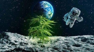 Επιστήμη: Σενάριο για το τέλος του κόσμου-Αστέρι θα «εκσφενδονίσει» τη Γη