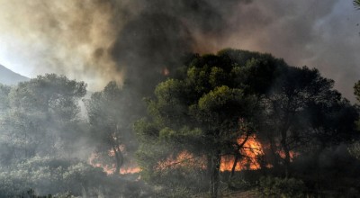 Κοζάνη: Πυρκαγιά στο Δρέπανο - Ήχησε το 112