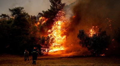 Έδεσσα: Φωτιά σε ποιμνιοστάσιο-Κάηκαν 30 πρόβατα