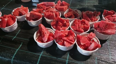 Όλη η αλήθεια για το καρπούζι: Τι υποστηρίζουν οι ειδικοί