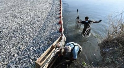 Βόλος: Σε ποιες παραλίες συνιστάται η αποφυγή κολύμβησης λόγω των νεκρών ψαριών