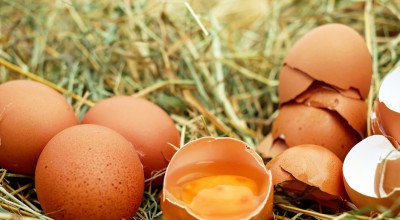 Διατροφή και υγεία: Έφαγε 720 αυγά σε έναν μήνα!-Τι συνέβη με τη χοληστερόλη του