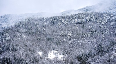 Σινάκι: Ποιο είναι το φαινόμενο που βάζει τη Φλώρινα στην... κατάψυξη