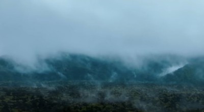 Απίστευτο: Στη Ιαπωνία υπάρχει συγκεκριμένο μέρος για να αυτοκτονήσει κάποιος! (vid)