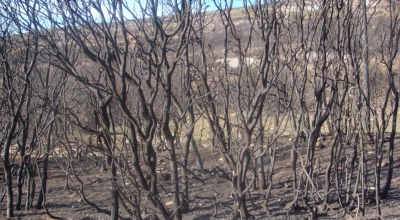 Δράμα: Έσβησε η φωτιά - Σε επιφυλακή οι δυνάμεις της Πυροσβεστικής