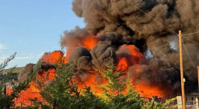 Χαλκιδική: Φωτιά σε ελαιοτριβείο στην Ορμύλια-Ήχησε το 112