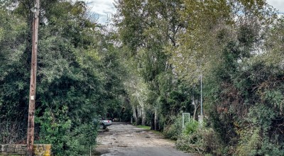 Μεσσηνία-Διπλό φονικό σε κάμπινγκ: «Ήταν ξεκαθάρισμα, δεν ήταν ληστεία...»