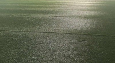 Το γήπεδο της Τριανδρίας αποκτά νέα ζωή: Πότε θα είναι στη διάθεση των ομάδων