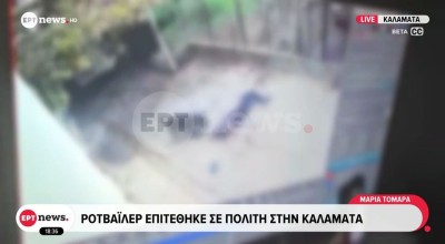 Καλαμάτα: Σε κρίσιμη κατάσταση ο 76χρονος που δέχθηκε επίθεση από το σκυλί του