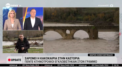 Εγκλωβίστηκαν 5 κτηνοτρόφοι με τα κοπάδια τους στον Γράμμο: Πνίγηκαν βοοειδή