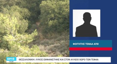 Θεσσαλονίκη: Λύκος στον αύλειο χώρο του ΤΕΦΑΑ!