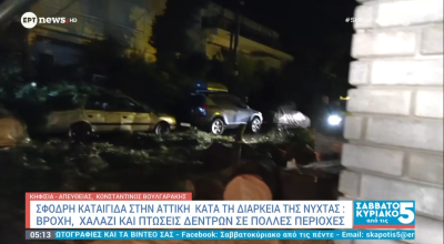 Πτώσεις δέντρων στην Αττική λόγω της κακοκαιρίας: Ζημιές σε οχήματα