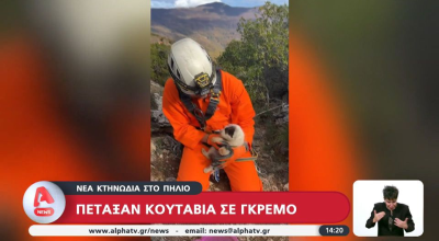 Απίστευτη κτηνωδία στο Πήλιο: Πέταξαν κουτάβια στο γκρεμό