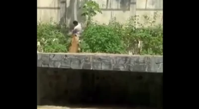 Λιοντάρι κατασπάραξε 19χρονο που μπήκε στο κλουβί του!