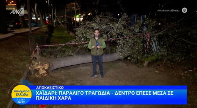 Χαϊδάρι: Ξεριζώθηκε δέντρο και καταπλάκωσε παιδική χαρά