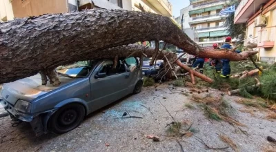 Θεσσαλονίκη: Δέντρο έπεσε και καταπλάκωσε αυτοκίνητα στη Χαριλάου