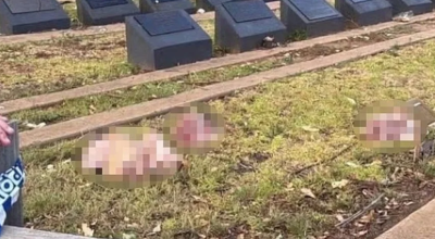 Αντίποινα σε μουσουλμάνους μετά το μακελειό στο Σίδνεϊ