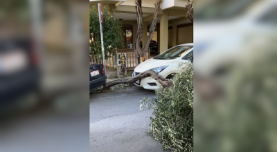 Θεσσαλονίκη: Τα «πήρε» και τα «σήκωσε» ο Βαρδάρης