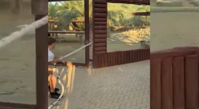 Η πιο τολμηρή πλευρά του Χούισεν: Ανάμεσα σε λιοντάρια και κροκόδειλους