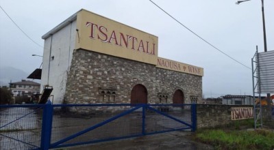 Σε κατάσταση πτώχευσης η οινοποιία «Ευάγγελος Τσάνταλης ΑΕ»
