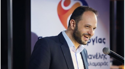 «Κραυγή» Δαρδαμανέλη για αδέσποτα στην Καλαμαριά: «Πριν δούμε χειρότερα...»