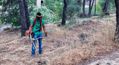 Τι αλλάζει στους καθαρισμούς των οικοπέδων με το νέο νομοσχέδιο