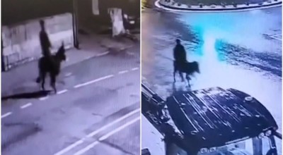 Διέρρηξε κοσμηματοπωλείο και διέφυγε με... γαϊδούρι