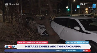 Ισχυροί άνεμοι και πτώσεις δένδρων στη Θεσσαλονίκη
