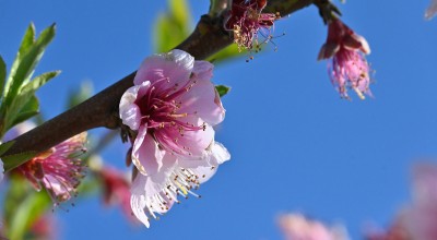 Με ανοιξιάτικο καιρό κλείνει ο Φεβρουάριος - Τι θα φέρει ο Μάρτης