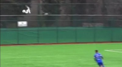 Απίστευτο σκηνικό: Ποδοσφαιριστής έκανε ΚΑΡΠΑ σε γλάρο και του έσωσε τη ζωή!