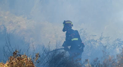 Χαλκιδική και Θεσσαλονίκη: Πρόστιμα για παράνομη καύση υπολειμμάτων