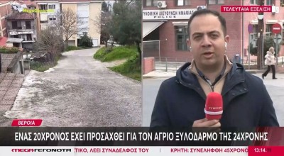 Βέροια: 20χρονος παραδέχτηκε την εμπλοκή του στον ξυλοδαρμό της 24χρονης